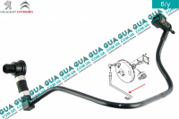 Шланг / патрубок вакуумной системы ( трубка )