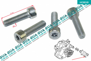 Болт / винт крепления клапана топливного насоса высокого давления ТНВД ( М5 ) 1шт   