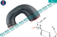 Патрубок ( трубка ) интеркулера