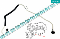 Трубка топливной системы ( от рейки к ТНВД )