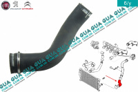 Патрубок интеркулера от радиатора к коллектору