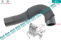 Патрубок вентиляции картерных газов верхний ( шланг, трубка cапуна )