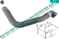 Патрубок радиатора верхний / шланг системы охлаждения ( от радиатора к термостату )