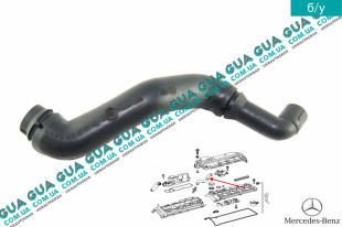 Патрубок вентиляции картерных газов ( шланг, трубка cапуна )   