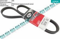 Ремень генератора ручейковый 5PK1425 ( L 200 14- )