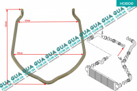 Стопор / фиксатор патрубка интеркулера ( удерживающая пружина / скоба ) 1ШТ