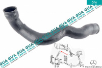 Патрубок интеркулера верхний ( от радиатора к коллектору )