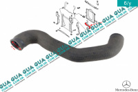 Патрубок / шланг системы охлаждения радиатора верхний ( от радиатора к термостату )
