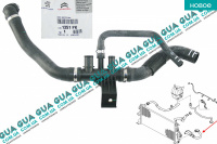 Патрубок / шланг / тройник системы охлаждения ( трубка радиатора нижняя )