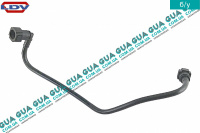 Патрубок / трубка топливной системы 