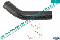 Патрубок / трубка топливной системы ( заливной горловины бака )
