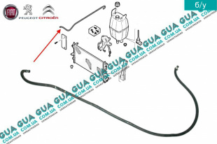 Патрубок / шланг системы охлаждения ( трубка расширительного  бачка )   
