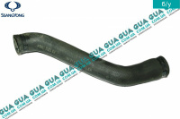 Патрубок / шланг системы охлаждения (патрубок радиатора ) (трубка) 