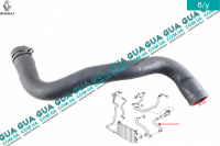 Патрубок радиатора верхний / шланг системы охлаждения ( трубка от радиатора к корпусу термостата  )