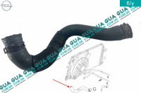Шланг / патрубок системы охлаждения ( трубка радиатора )
