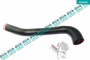 Патрубок вентиляции картерных газов ( трубка / шланг сапуна ) ( XUD )   