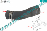 Патрубок / шланг системы охлаждения (трубка) Nissan / НИССАН X-Trail T31 / ИКС-ТРЭЙЛ Т31 2.0dCi (1995 куб. см.)