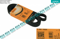 Ремень генератора ручейковый 7PK1920 Renault / РЕНО MASCOTT 2004-2010 / МАСКОТ 04-10 3.0TDI (2953 куб.см.)