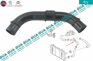 Патрубок  системы охлаждения ( трубка от радиатора к термостату )   