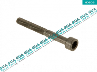 Болт / винтт крепления распредвала ( 6x 53 ) VW / ВОЛЬКС ВАГЕН TRANSPORTER V 2003- / ТРАНСПОРТЕР 5 03- 2.0TDI (1968 куб.см.)