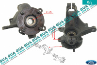 Поворотный кулак передний правый ( цапфа ) 