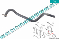 Патрубок / шланг системы охлаждения радиатора верхний ( от радиатора к термостату )