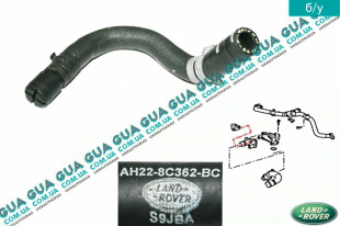 Шланг / клапан удаления воздуха системы охлаждения ( трубка )   