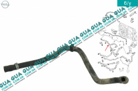 Патрубок / шланг системы охлаждения  ( трубка )