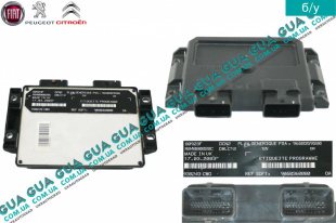 Электронный блок управления двигателем ( ЭБУ / ECU )   