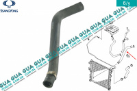 Патрубок радиатора нижний SsangYong / САНГЙОНГ KYRON 2.0XDI (1998 куб.см.)