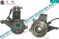 Поворотный кулак / цапфа левая с ступицей под ABS / АБС D18 Peugeot / ПЕЖО PARTNER M59 2003-2008 / ПАРТНЕР М59 03-08 1.9D (1868 куб.см.)