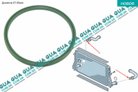 Кольцо уплотнительное патрубка интеркулера D 67.90mm