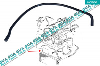 Патрубок / шланг системы охлаждения ( трубка расширительного бачка )