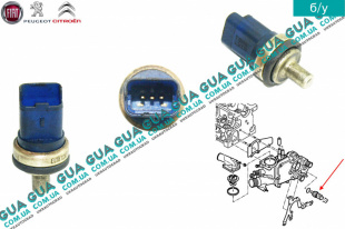 Температурный датчик охлаждающей жидкости ( Датчик температуры жидкости )   