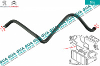 Патрубок / шланг системы охлаждения ( трубка от водяного насоса  к расширительному бачку )