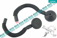 Сапун / патрубок вентиляции картерных газов ( шланг, трубка )