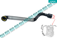 Патрубок вентиляции картерных газов / шланг  ( трубка сапуна )