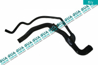 Патрубок / шланг системы охлаждения (патрубок радиатора ) (трубка)