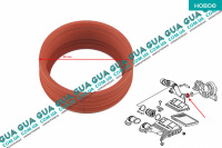 Патрубок / кольцо уплотнительное турбины ( трубка / шланг )