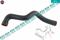 Патрубок / трубка / шланг интеркулера от радиатора к дросельной заслонке