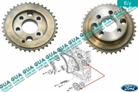 Шестерня ( звездочка ) привода ТНВД
