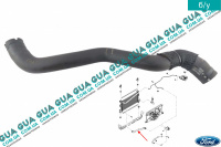 Патрубок радиатора / шланг системы охлаждения левый