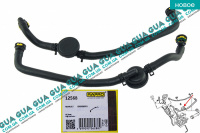 Патрубок вентиляции картерных газов / сапун ( шланг, трубка ) Renault / РЕНО CLIO II / КЛИО 2 1.9DTI (1870 куб.см.)