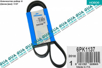 Ремень генератора ручейковый 6PK1137 ( -AC )