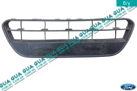 Решетка радиатора 2009- Ford / ФОРД CONNECT 2002-2013 / КОННЕКТ 02-13 1.8 V16 (1796 куб.см)