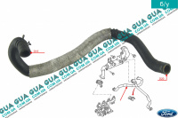 Патрубок / трубка системы охлаждения ( от теплообменника к охладителю ЕГР)