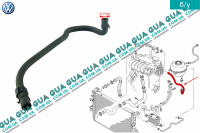 Патрубок / шланг системы охлаждения ( трубка расширительного бачка )
