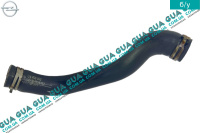 Патрубок радиатора