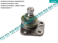 Шаровая опора нижняя ( конус 17 мм )