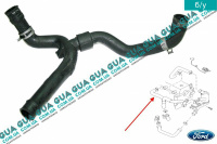 Трубка отвода картерных газов ( патрубок вентиляции картера )